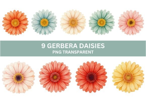Brighten Your Designs with Vibrant Watercolor Gerbera Daisies