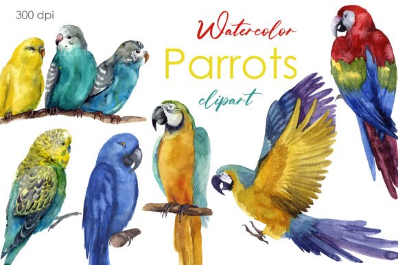 Bring Tropical Charm to Your Designs with Parrot Clipart