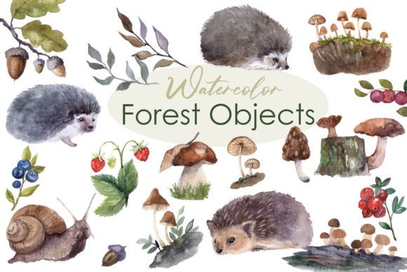 Enchanting Forest Clipart for Fall & Autumn Designs