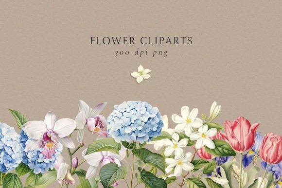 Timeless Botanical Beauty: Vintage Charm Flowers Clip Art