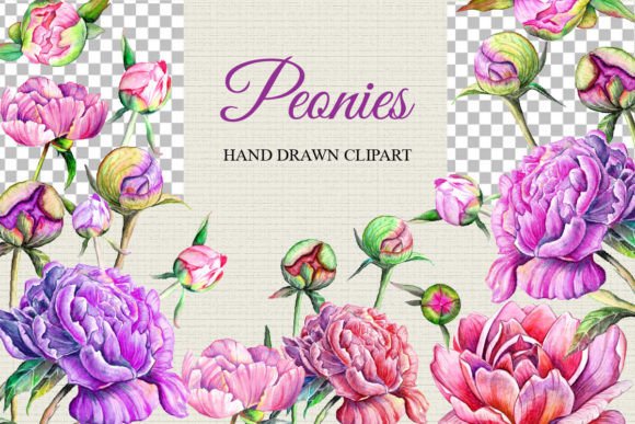 Watercolor Peonies: A Hand-Drawn Clipart Collection for Every Creator